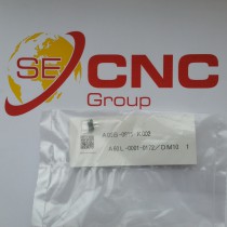 A60L-0001-0172/DM10 Daito DM10 Fanuc Fuse 1.0A